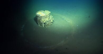 Decades-Old Ocean Waste Off Los Angeles Raises Concerns