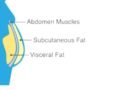 The role of visceral fat in endometrial cancer