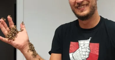 Buzzing Through Italy: What Honey Reveals About Bee Health