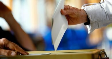 Desinformación y emociones en las elecciones de 2024 en EE. UU. y la UE: cómo las emociones moldean lo que la gente cree