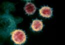 Científicos españoles desarrollan un nuevo enfoque en la lucha contra los virus