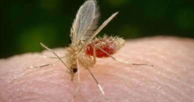 New World Leishmaniasis Diagnosed for the First Time in Romania